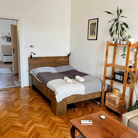 Domos Buda Castle Balcony Apartment Budapest Extérieur photo
